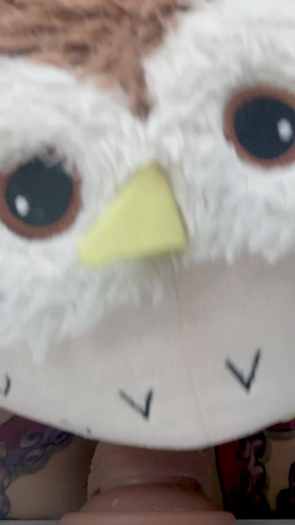 Just wanna show my fav owl toy